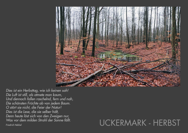 103-Uckermark-Kalender-Herbst