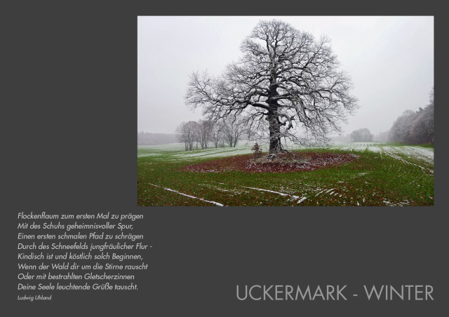 104-Uckermark-Kalender-Winter